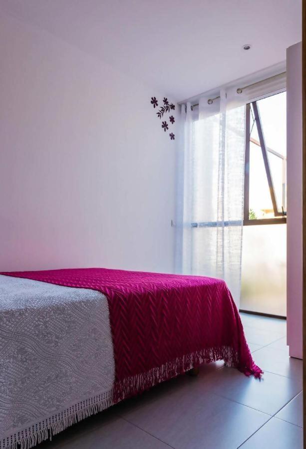 Casa Rural Vina Vella Esteiro ภายนอก รูปภาพ